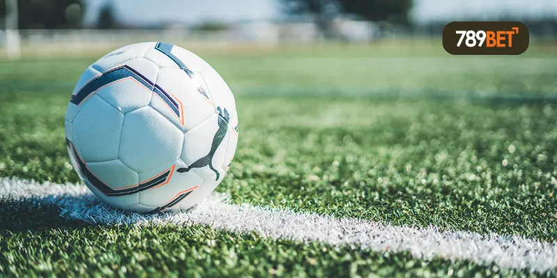 Phân Tích Tỷ Lệ Kèo Handicap 789bet Dễ Thắng 2 Tìm hiểu về Kèo Handicap 789bet
